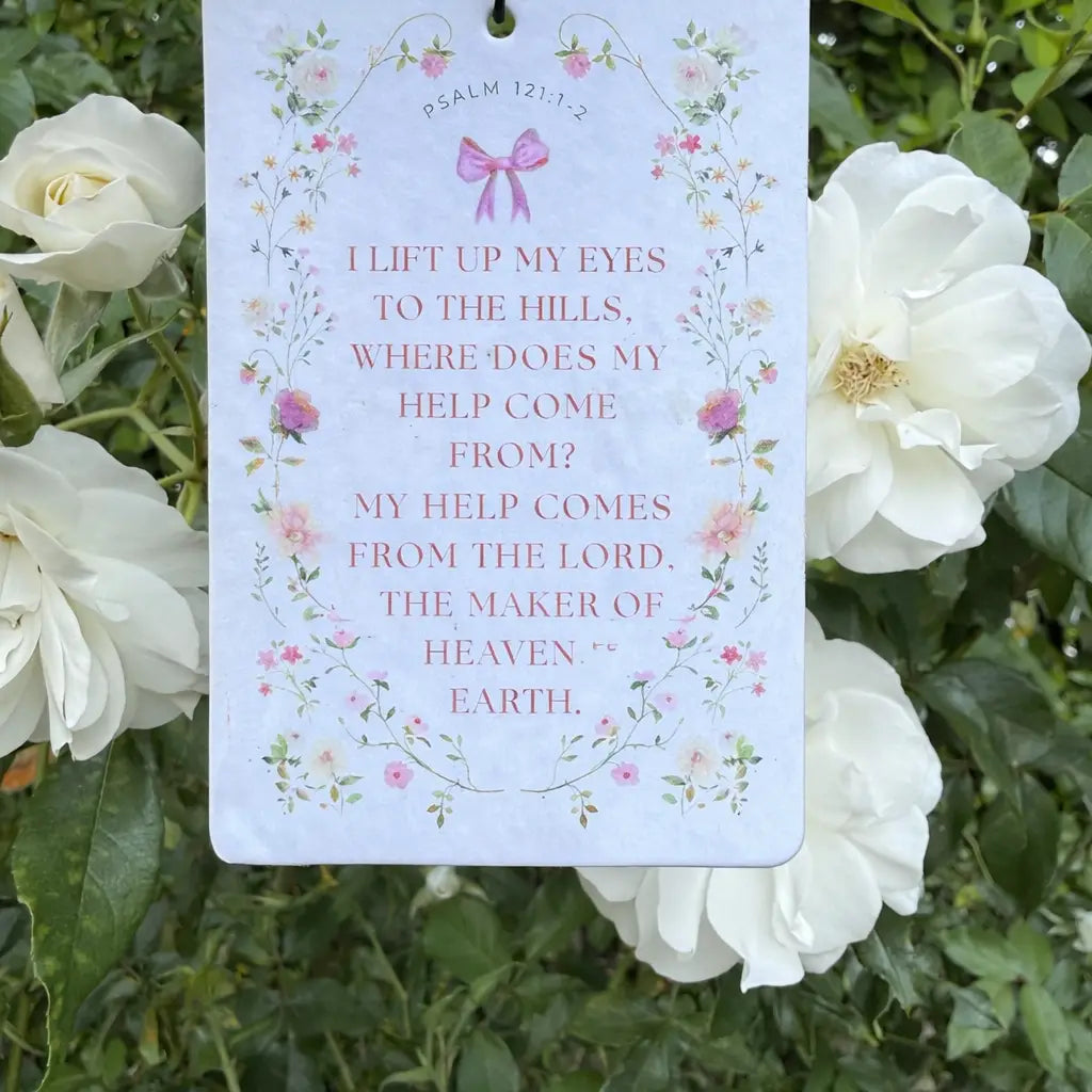 Fruit of the Spirit Car Air Freshener Strawberry Scent (Copy)